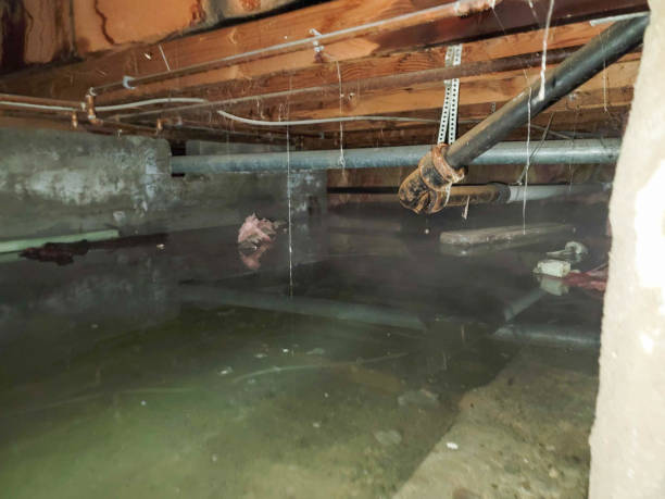 Trusted Combined Locks, WI Water damage restoration Experts