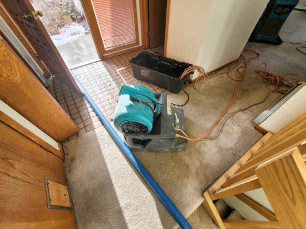 Best Professional water damage repair  in Combined Locks, WI