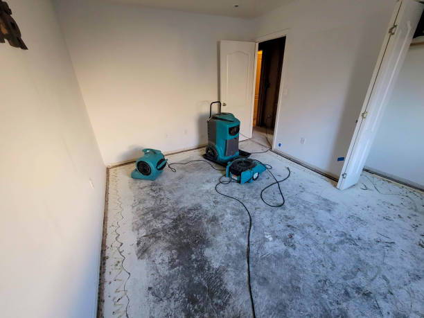 Best Ceiling water damage repair  in Combined Locks, WI