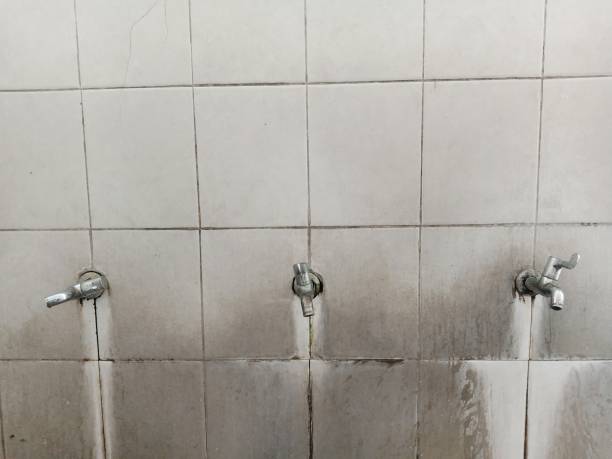 Best Ceiling water damage repair  in Combined Locks, WI