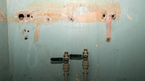 Best Fire Damage Restoration  in Combined Locks, WI