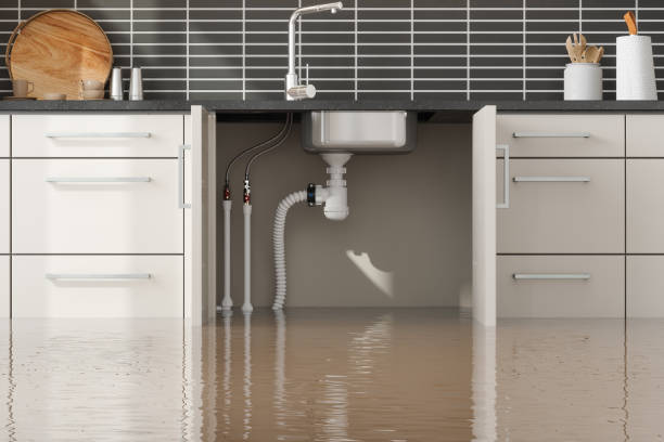 Best Commercial water damage restoration  in Combined Locks, WI