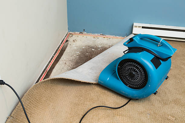 Professional Water damage restoration in Combined Locks, WI